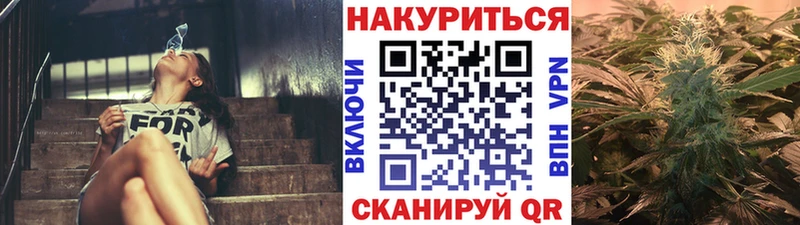 Купить закладки  Тамбов  Бошки марихуана THC 21% 